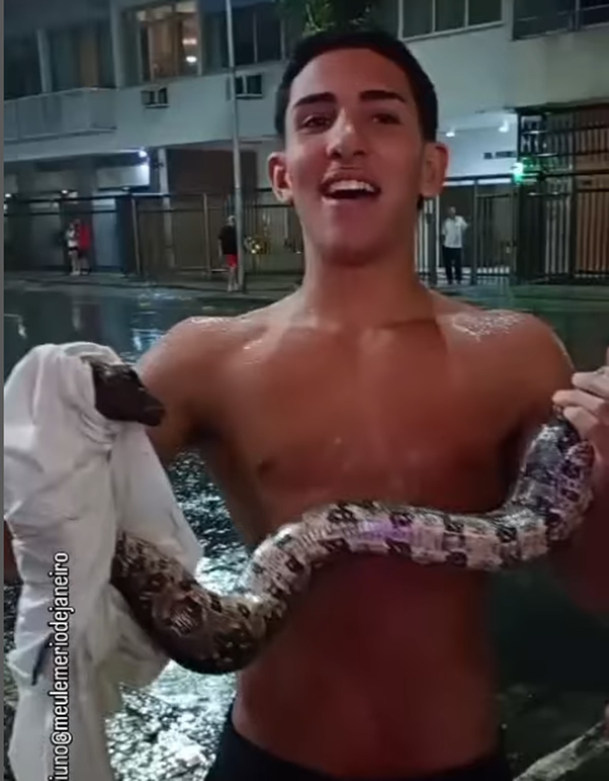 Cobra vista na Rua Figueiredo de Magalhães, em Copacabana (Foto: Reprodução/Instagram)