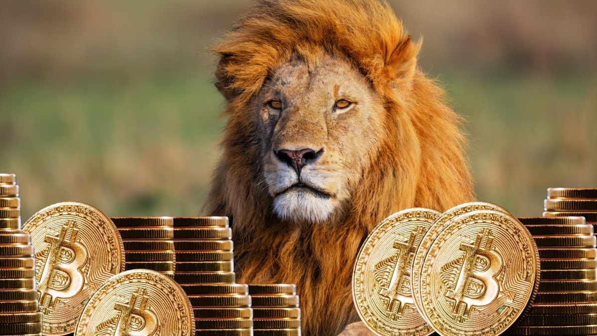 Como declarar criptomoedas no Imposto de Renda 2025 e evitar problemas com o Fisco
