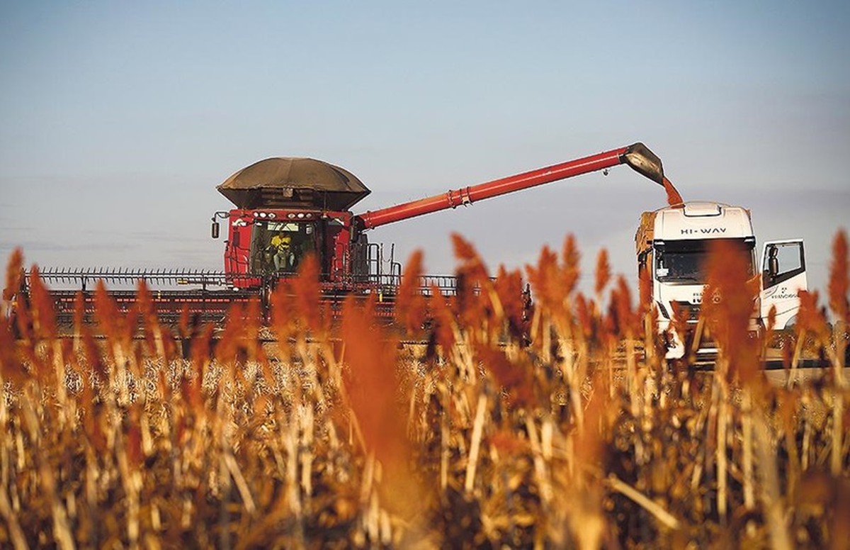 Tarifaço pode causar perda de quase US$ 6 bilhões para o agronegócio brasileiro