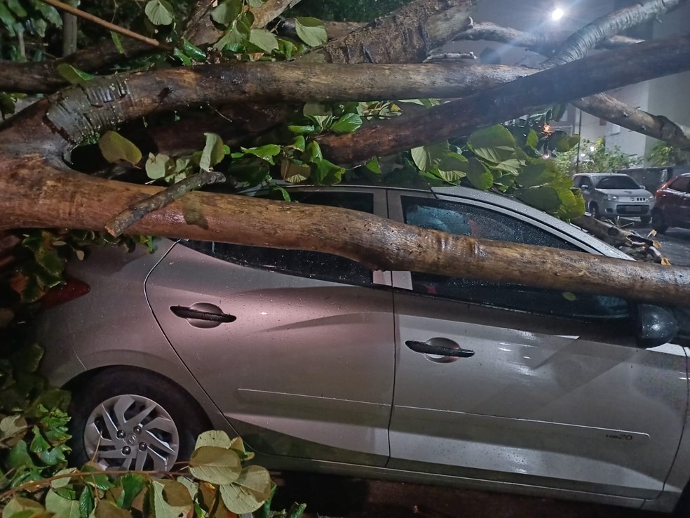 Ventania em São Paulo causa cancelamento de 8 voos e desvio de outros 9