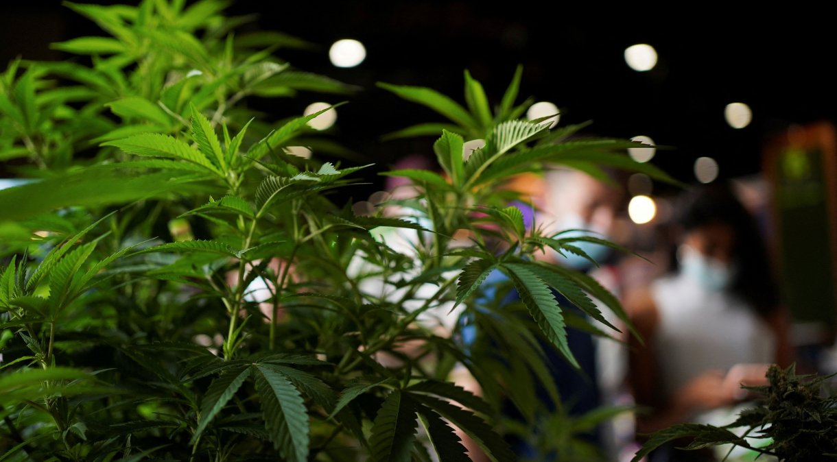 Pesquisas indicam aumento do uso de maconha nos Estados Unidos (Foto: Mariana Greif/Reuters)