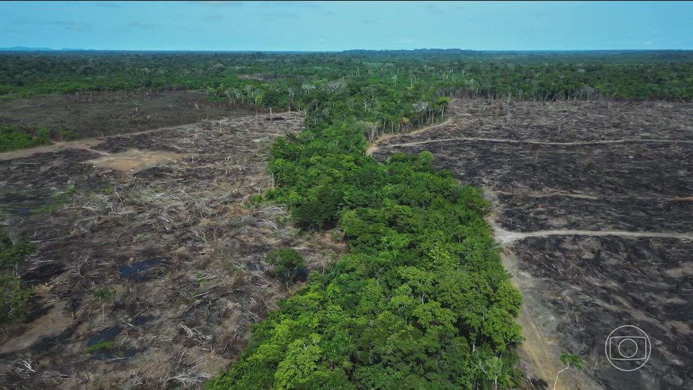 Pontos de não retorno ameaçam o equilíbrio ambiental do planeta