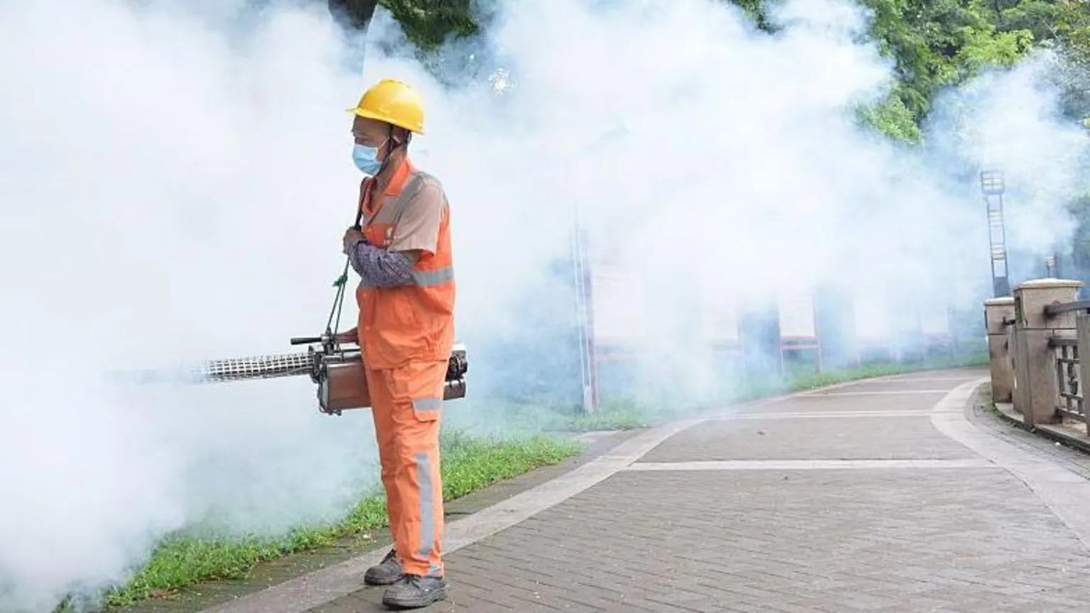 China registra 7 mil casos de vírus chikungunya em surto alarmante