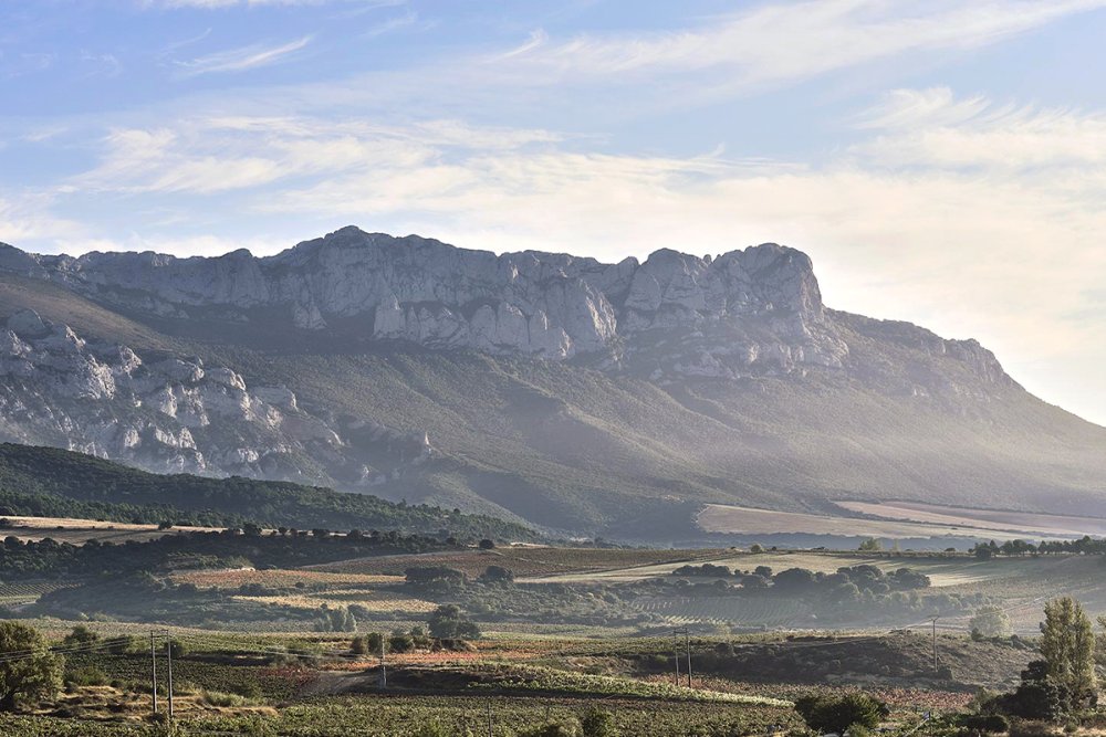 Rothschild destaca a Rioja como destino favorito para o enoturismo