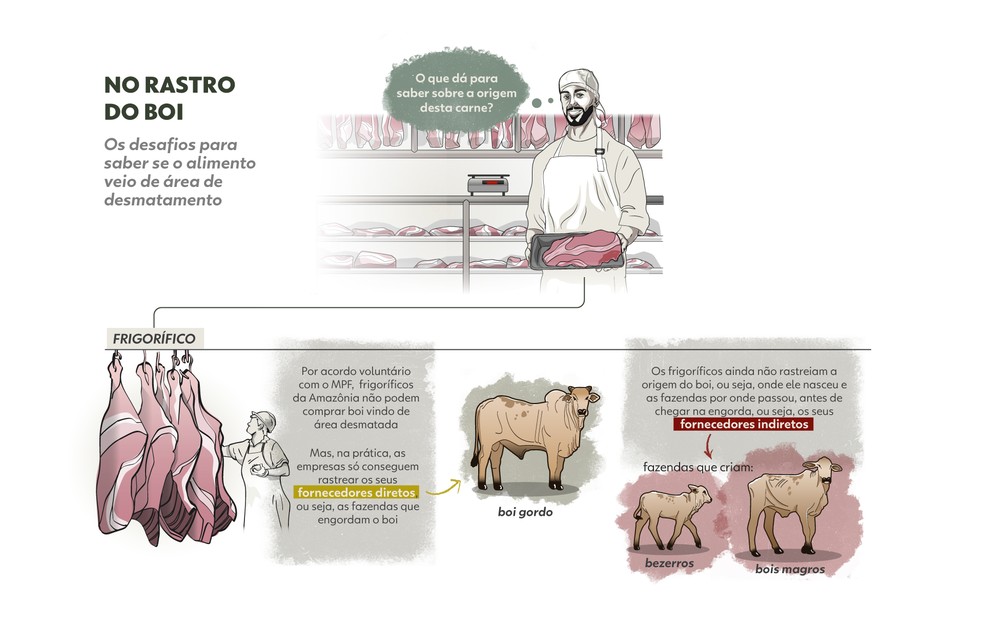 Carne rastreada: como garantir que o boi não contribuiu para o desmatamento