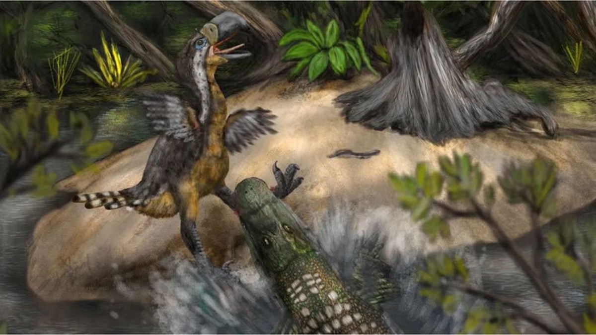 Fóssil revela que ave pré-histórica foi morta por jacaré gigante há 13 milhões de anos