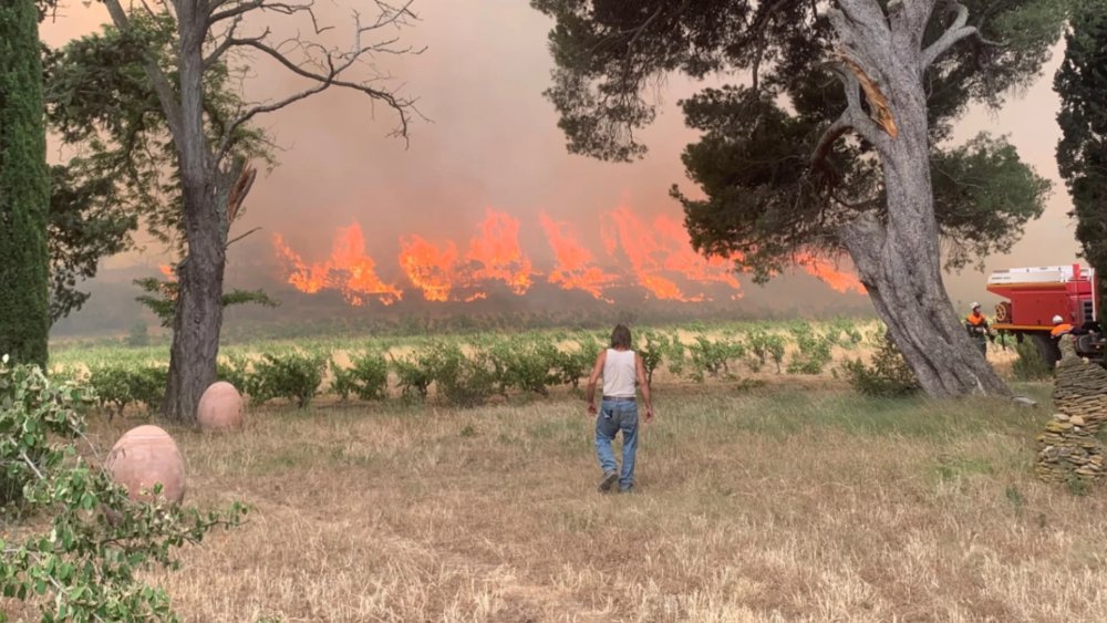 Vignoble da Aude sofre devastação severa devido a incêndios florestais