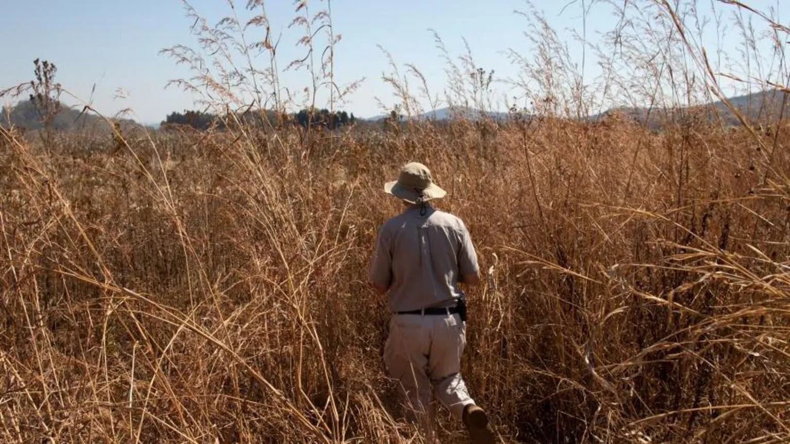 Zimbabwe inicia compensação a agricultores brancos após 20 anos de expropriações