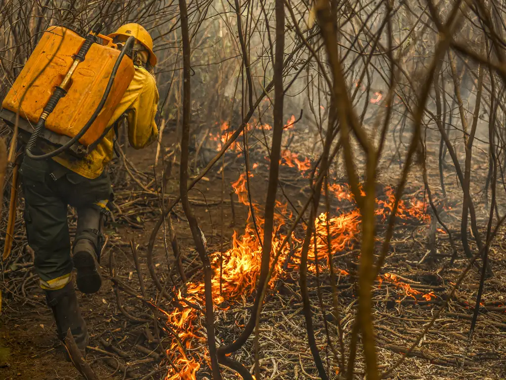 Queimadas no Pantanal e Cerrado devem diminuir significativamente em 2025