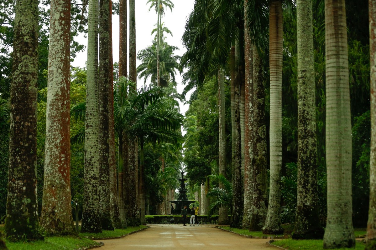 Ingressos do Jardim Botânico têm aumento surpreendente de R$ 18 para R$ 40