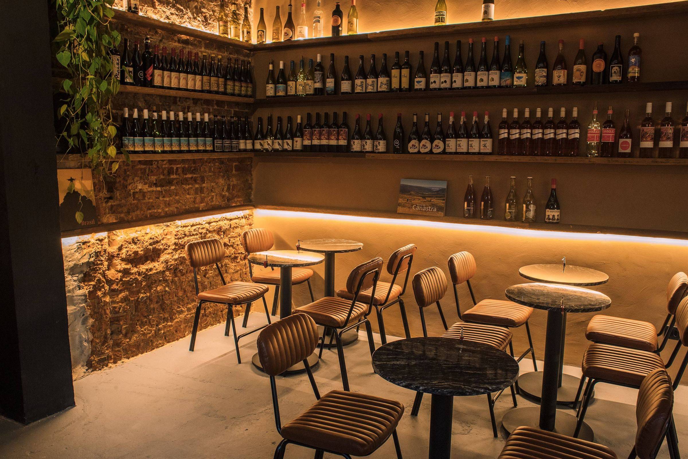 Descubra seis vinhos incríveis a partir de R$ 65 para iniciar sua coleção