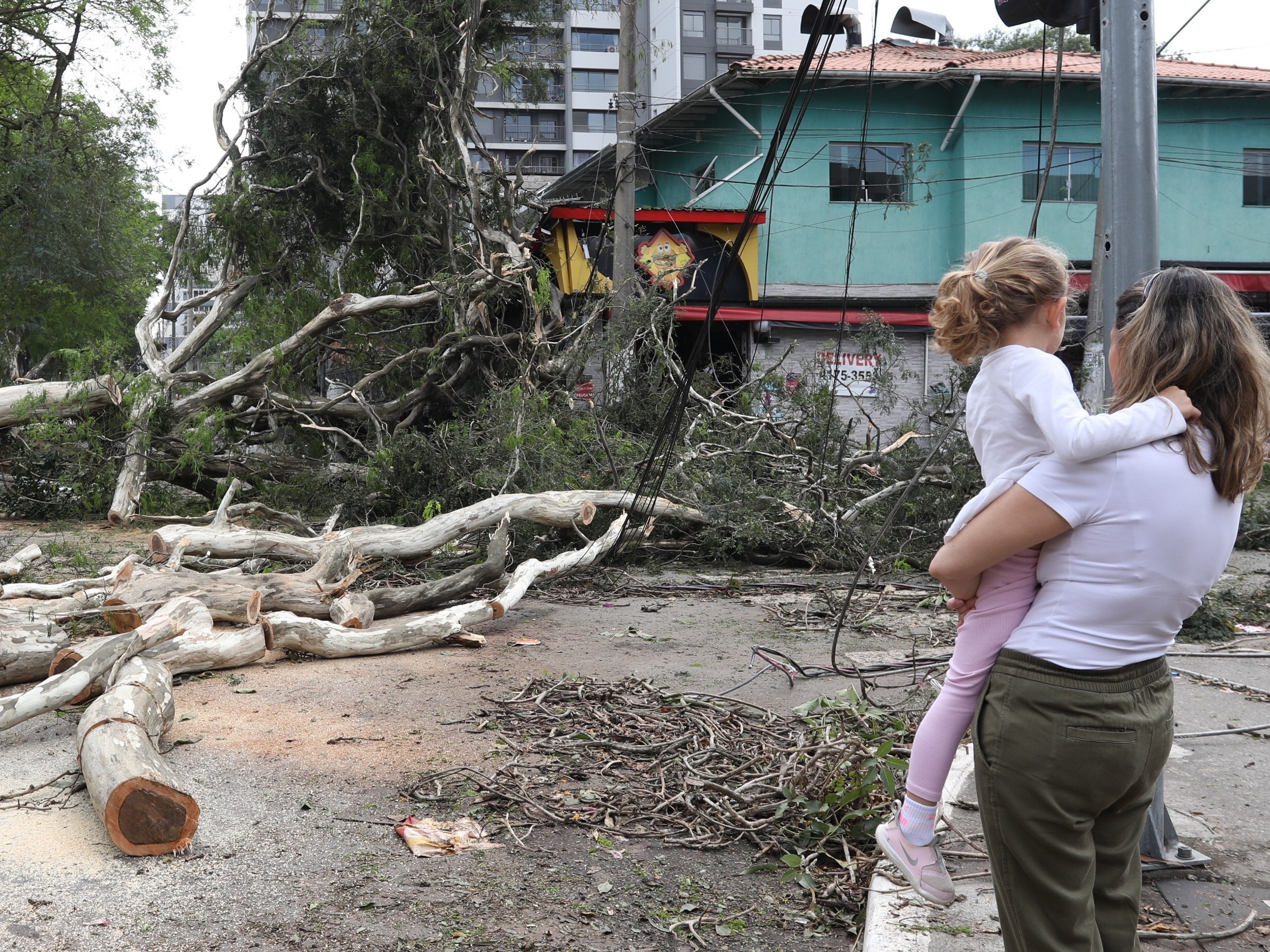 Defesa Civil prevê ventos fortes em São Paulo entre domingo e segunda-feira