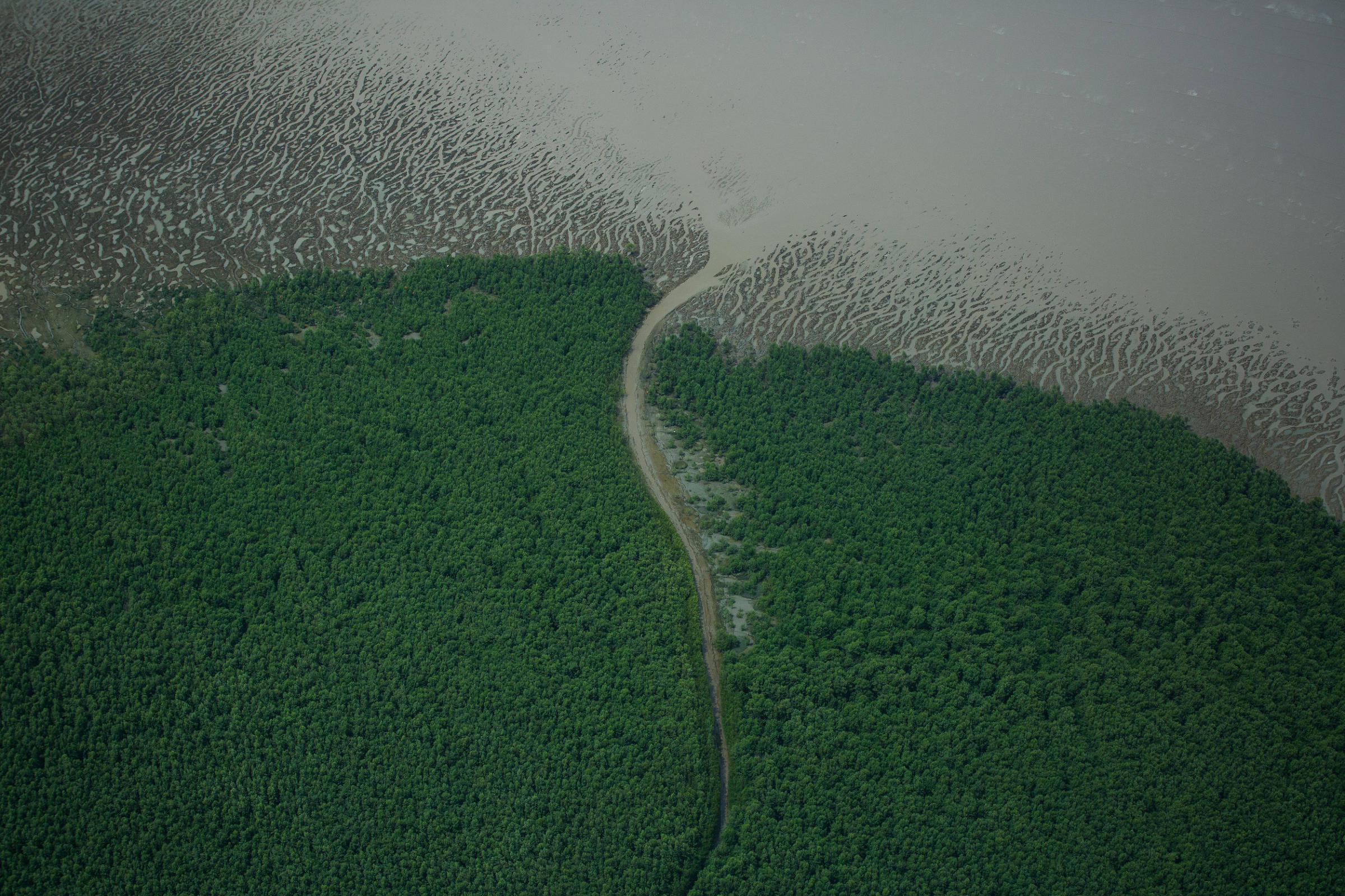Costa do Amapá, região da bacia de Foz do Amazonas - Victor Moriyama/Greenpeace. (Foto: Victor Moriyama/Greenpeace)