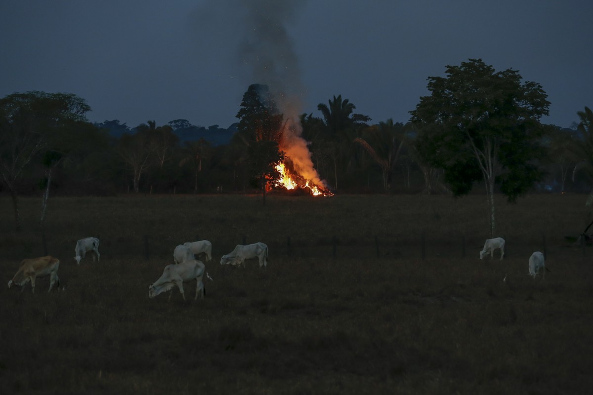 Especialistas alertam sobre falta de dados para licenciamento ambiental eficaz