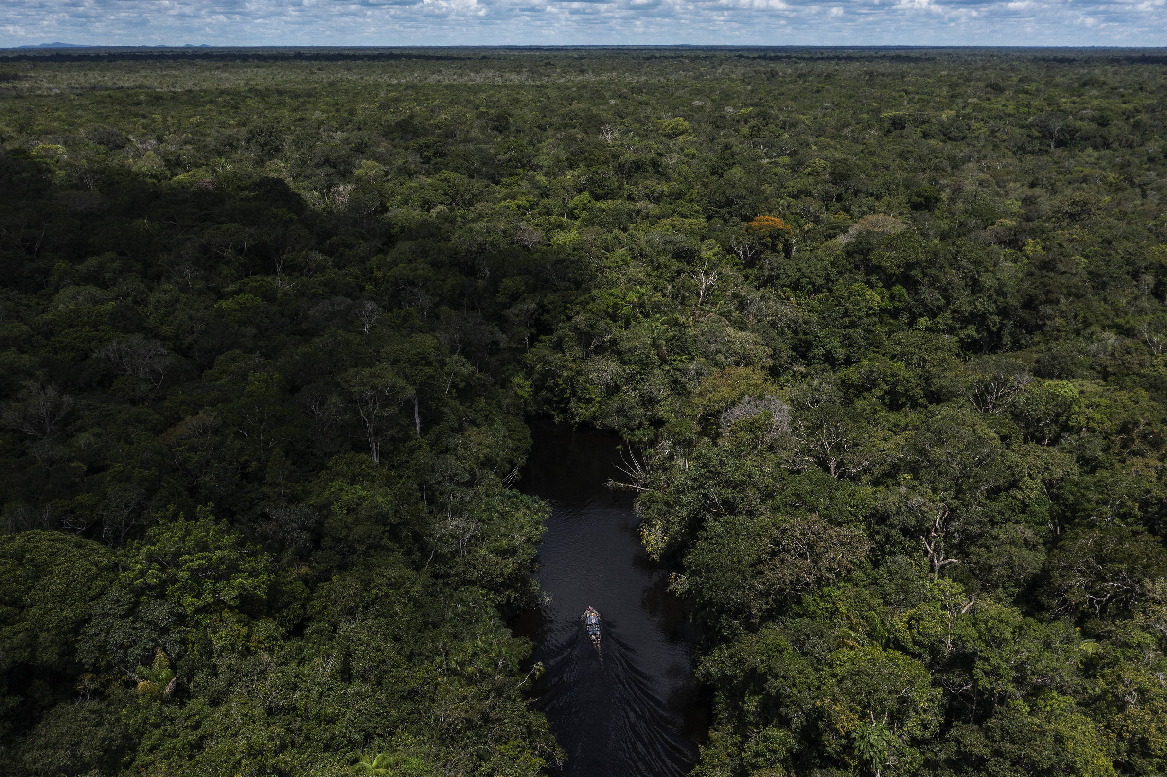 Inovação com foco em sustentabilidade é traço de negócios de impacto socioambiental (Foto: Lalo de Almeida/Folhapress)
