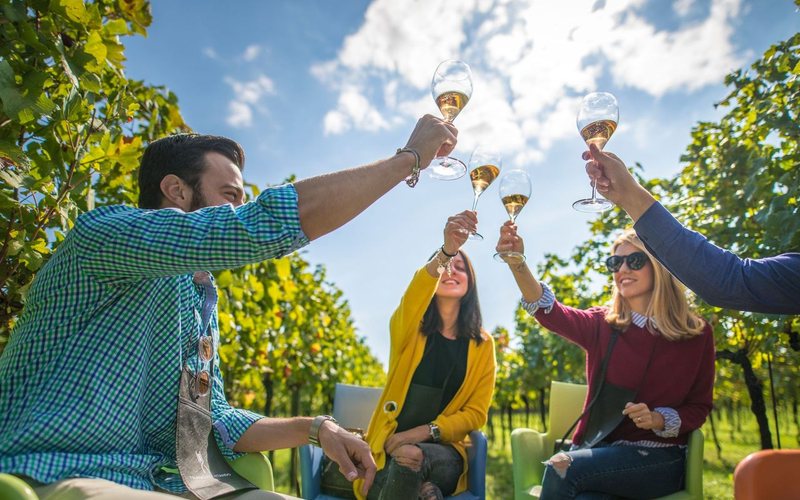 Italianos se destacam em leilões de vinhos finos, mesmo com queda no mercado em 2024