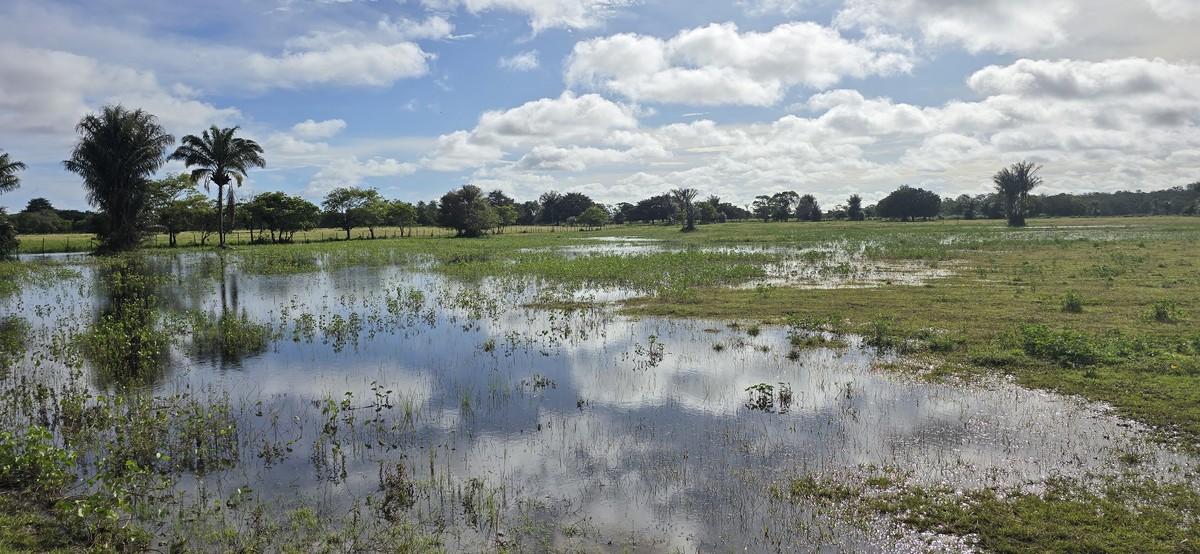 Marajó revela contrastes entre riqueza e desigualdade na Amazônia