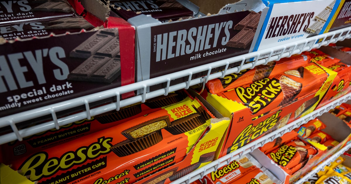 Cacau em pó escasso desafia indústrias de chocolate a inovar na produção