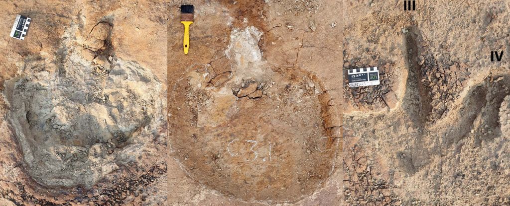 Dinossauros de diferentes espécies podem ter formado rebanhos mistos na pré-história