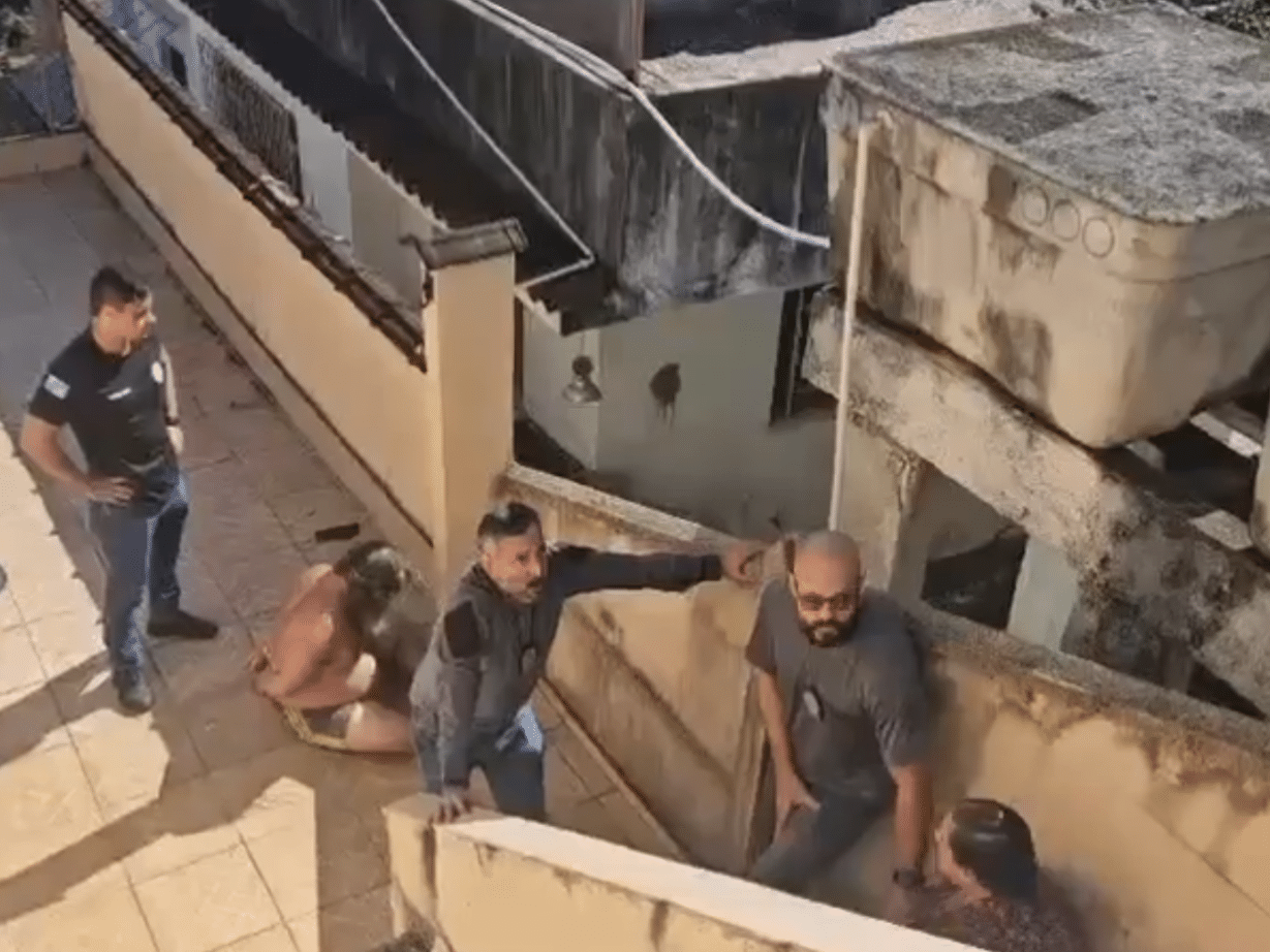 Irmãos escondem corpo do pai em casa para continuar recebendo benefícios sociais