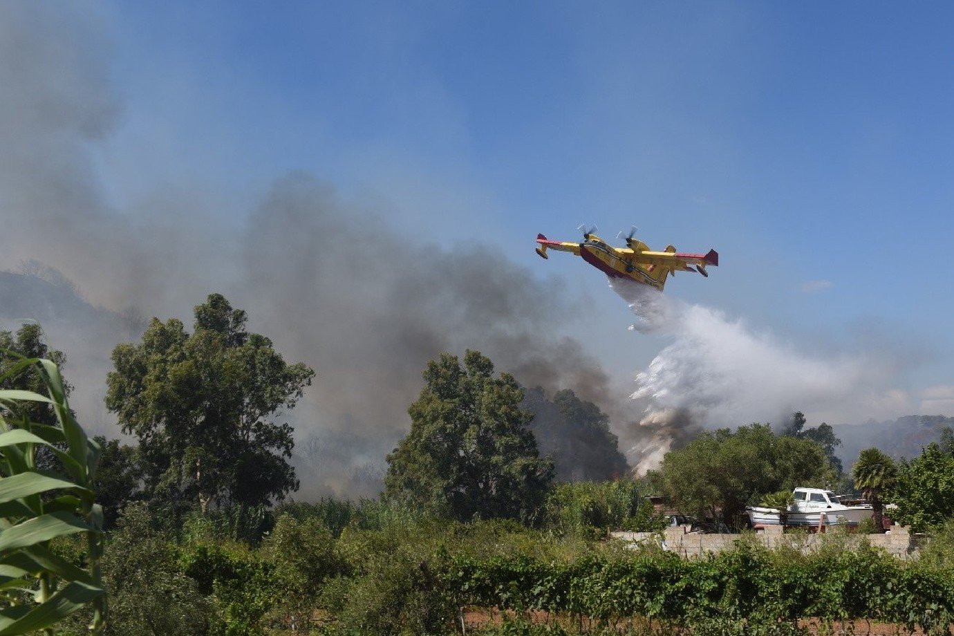 Incêndio florestal atinge praia na Itália e força banhistas a evacuarem a área