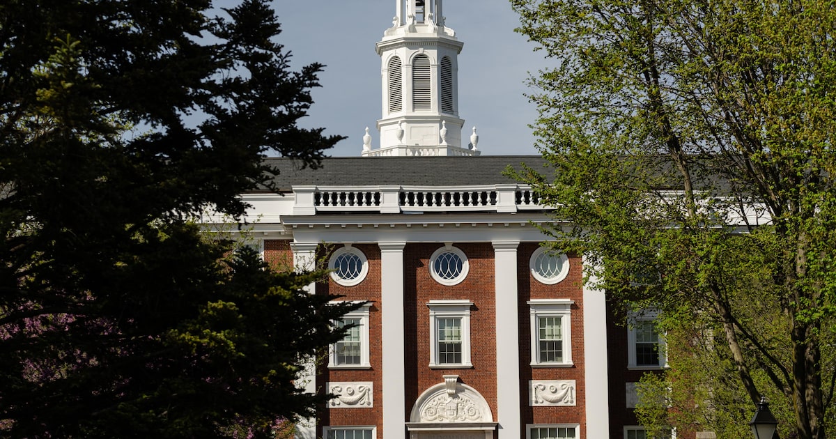 Trump expressa aversão a Harvard em nova crítica contundente
