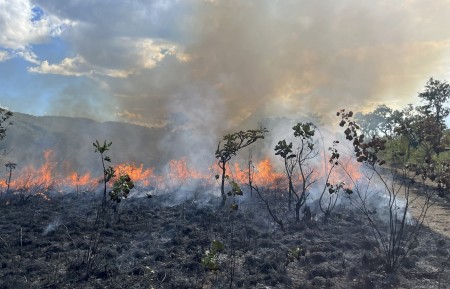 Livro compila décadas de estudos sobre o fogo em ecossistemas da América do Sul