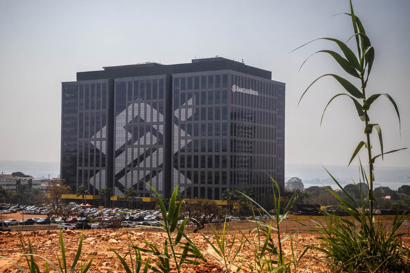 Goldman Sachs reduz projeção de lucro do Banco do Brasil devido a crédito rural fraco