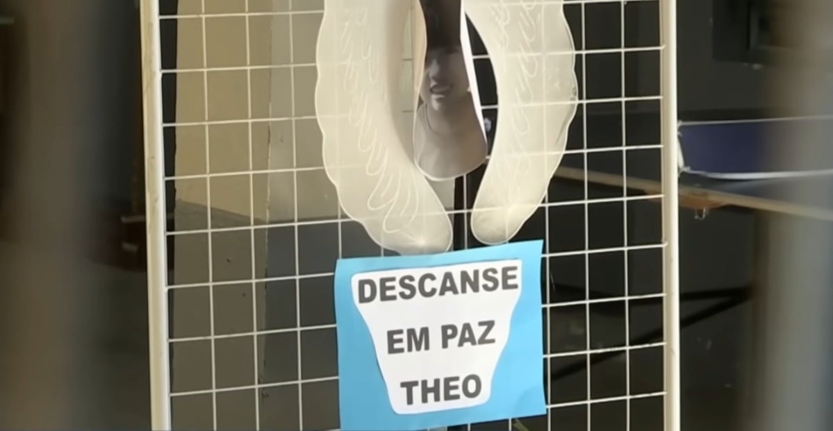 Theo foi jogado de uma ponta pelo pai no Rio Grande do Sul. (Foto: Imagem ilustrativa/Reprodução/YouTube/Brasil Urgente)