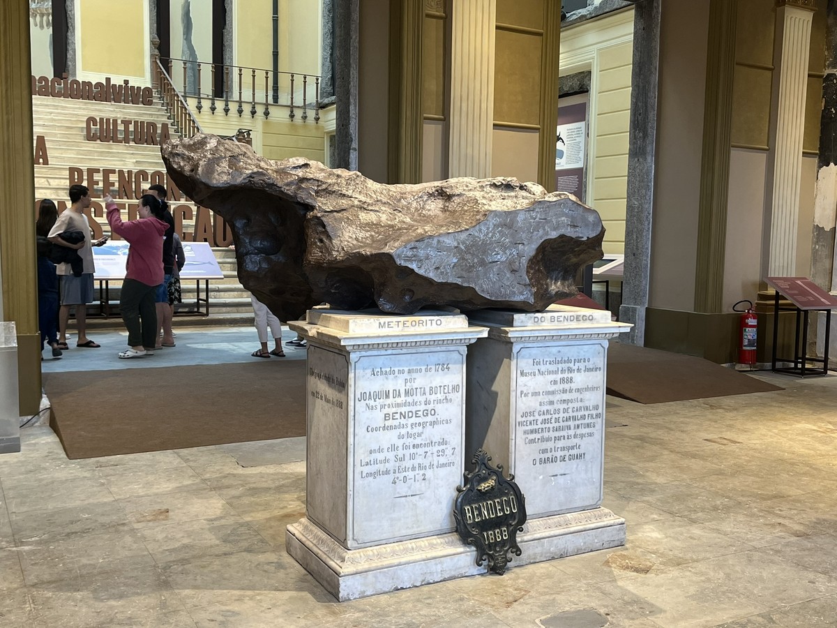 Museu Nacional atrai mais de dez mil visitantes na exposição ‘Entre gigantes’