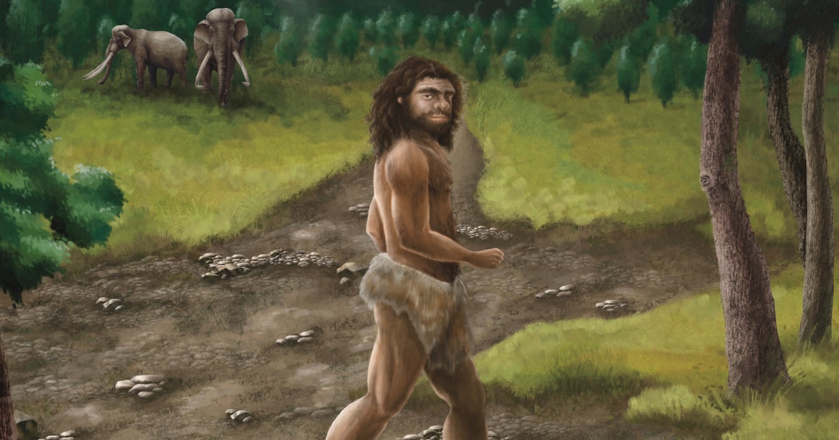 Mandíbula descoberta na Ásia revela segredos de ancestrais do homem moderno