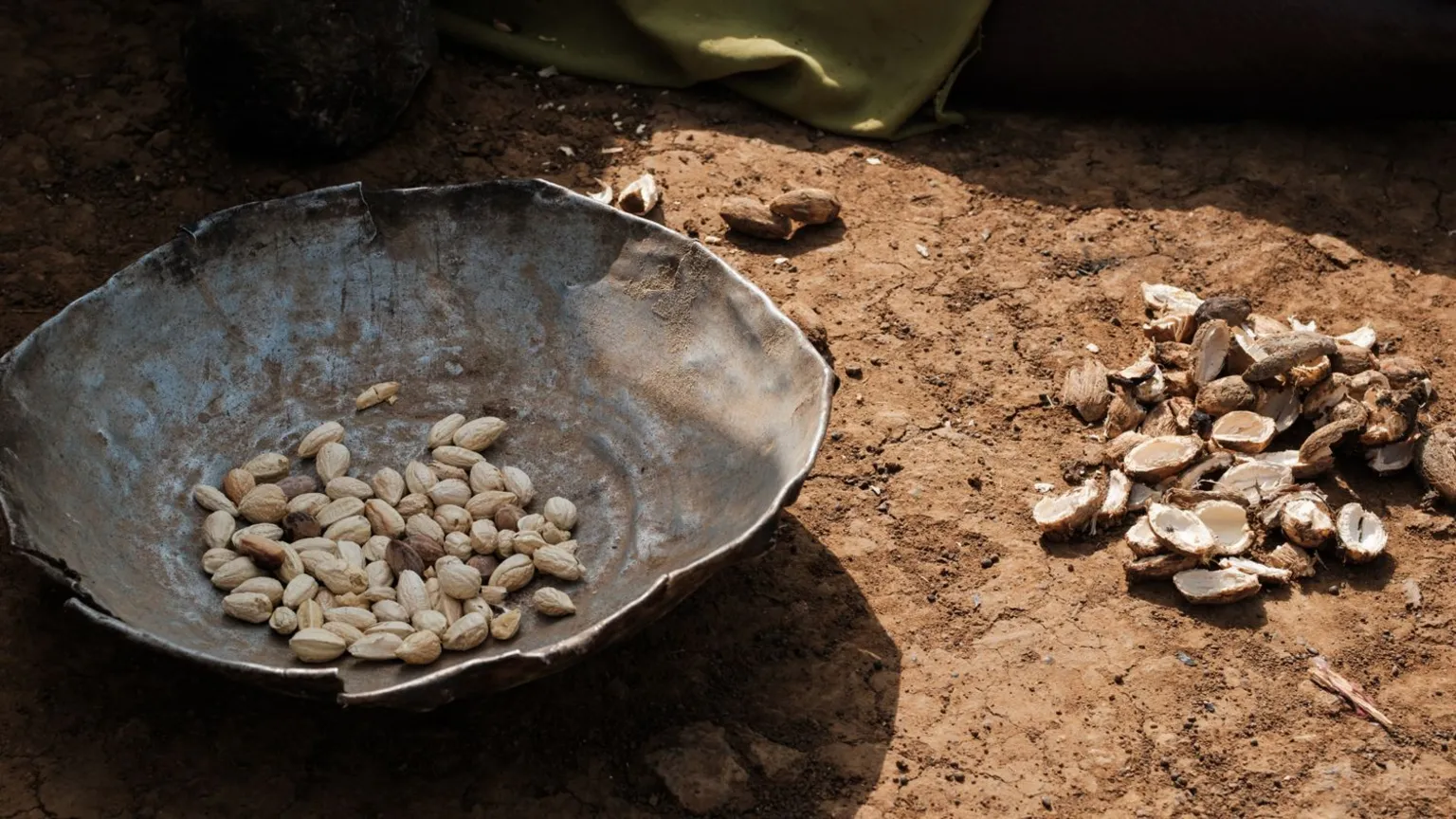 Crianças morrem devido à falta de alimentos em acampamento no Sudão