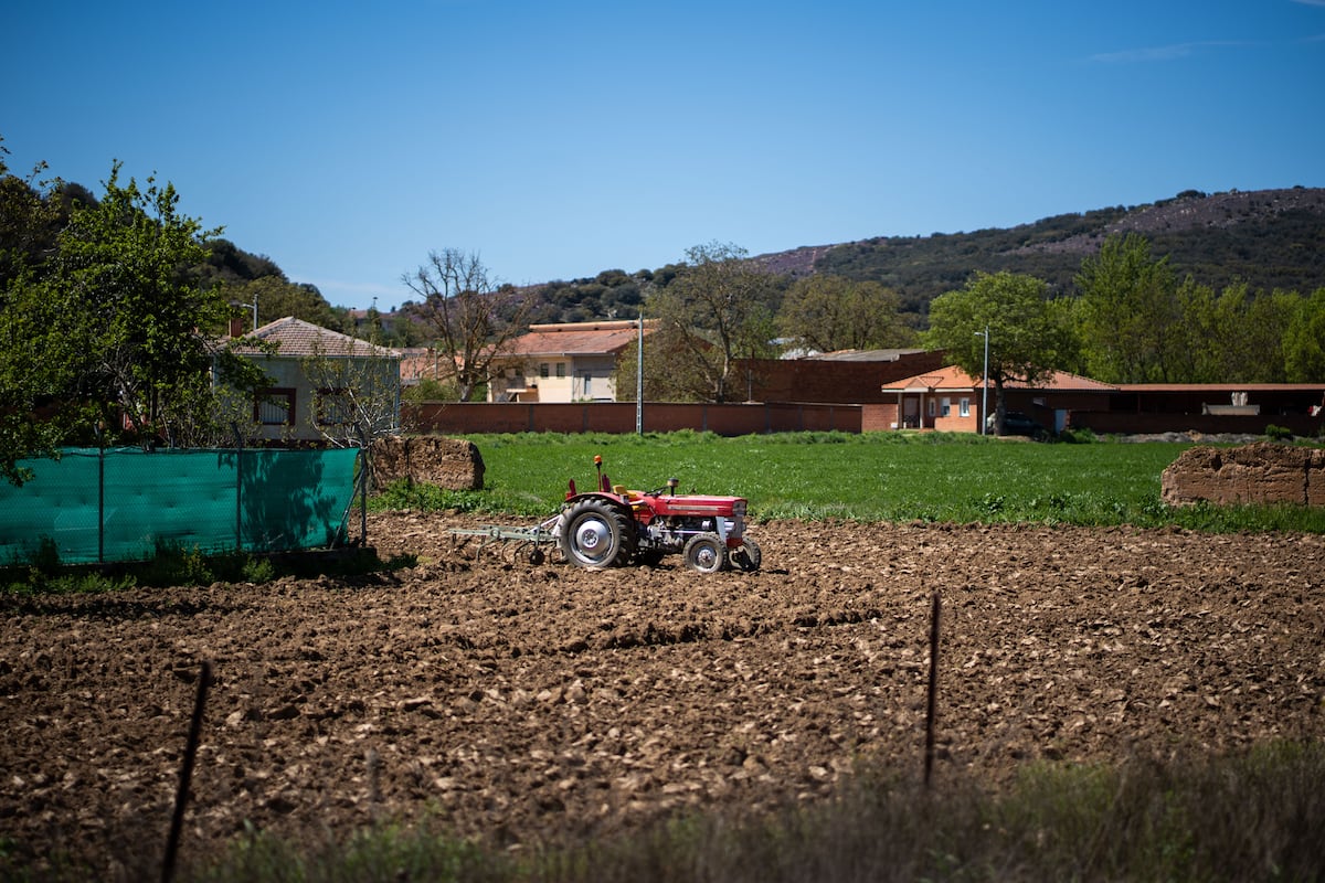 Horticultores de León enfrentam crise com proibição de irrigação em suas lavouras