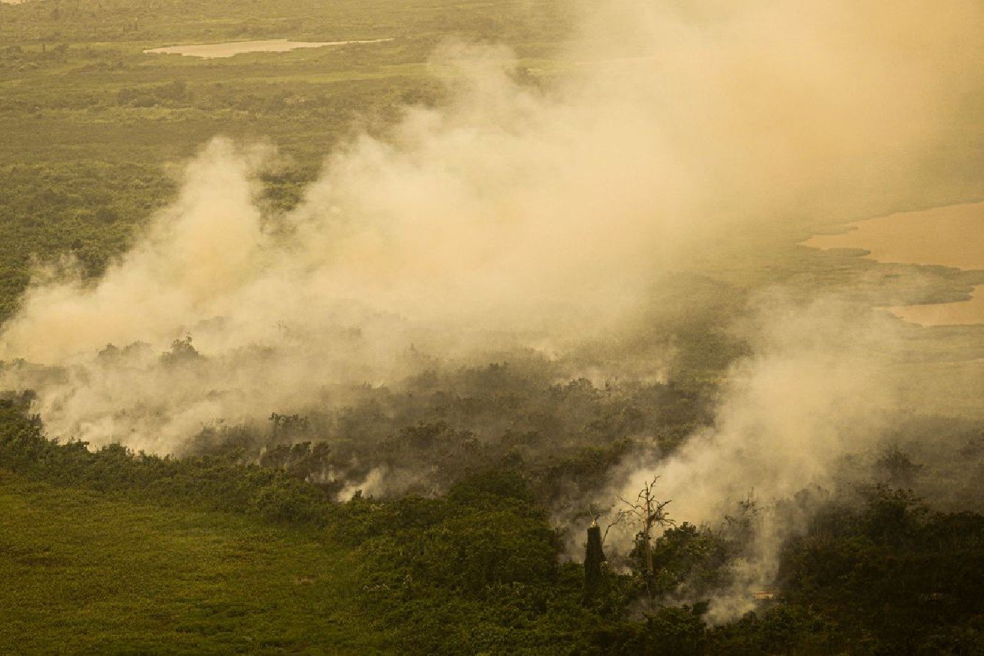 Governo de SP emite alerta sobre alto risco de incêndios nos próximos dias