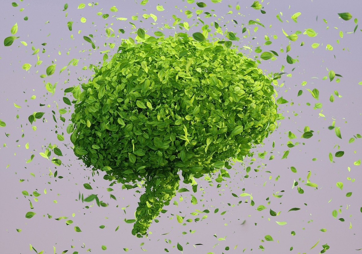 Sustentabilidade (Foto: Pixabay)