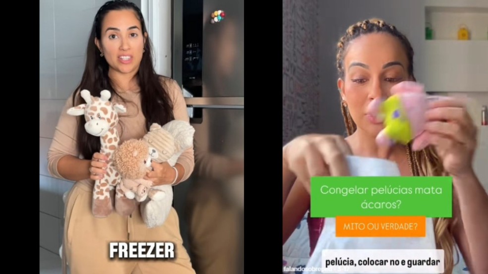 Congelar os bichos de pelúcia no freezer doméstico, a uma temperatura de -18 °C por 24 horas, pode eliminar os ácaros que se acumulam nesses brinquedos e agravam crises alérgicas. (Foto: Reprodução)