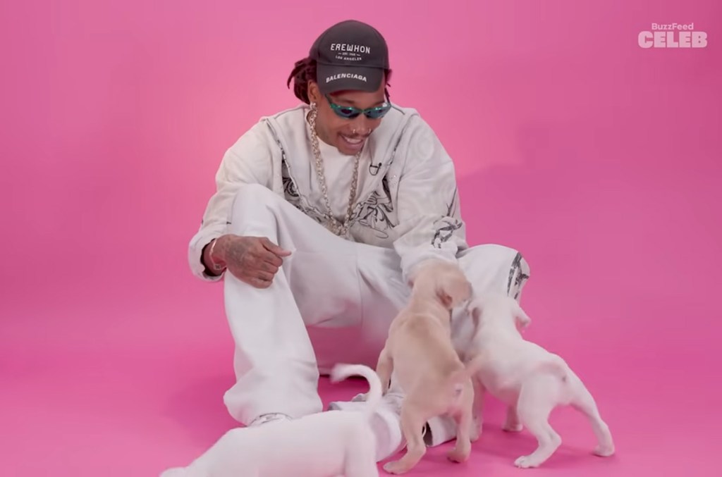 Wiz Khalifa superou as distrações de ser entrevistado com um punhado de filhotes ao redor e listou Dr. Dre como seu colaborador dos sonhos. (Foto: Reprodução)
