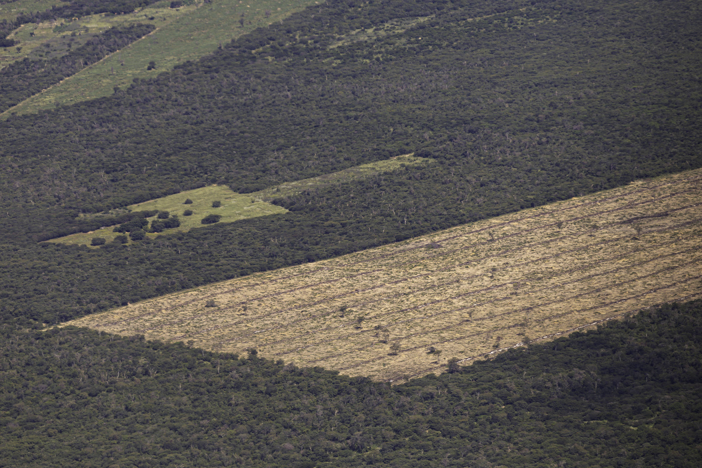 Imagem aérea registrada em 2024 mostra desmatamento em encrave da mata atlântica no município de Wanderley, na Bahia. (Foto: Thomas Bauer/Divulgação/SOS Mata Atlântica)