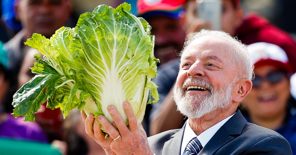 Presidente Lula e as principais lideranças do Partido dos Trabalhadores (PT) têm demonstrado que não entendem o papel do agronegócio e a sua importância hoje no mundo. (Foto: Wilton Junior/Estadão)