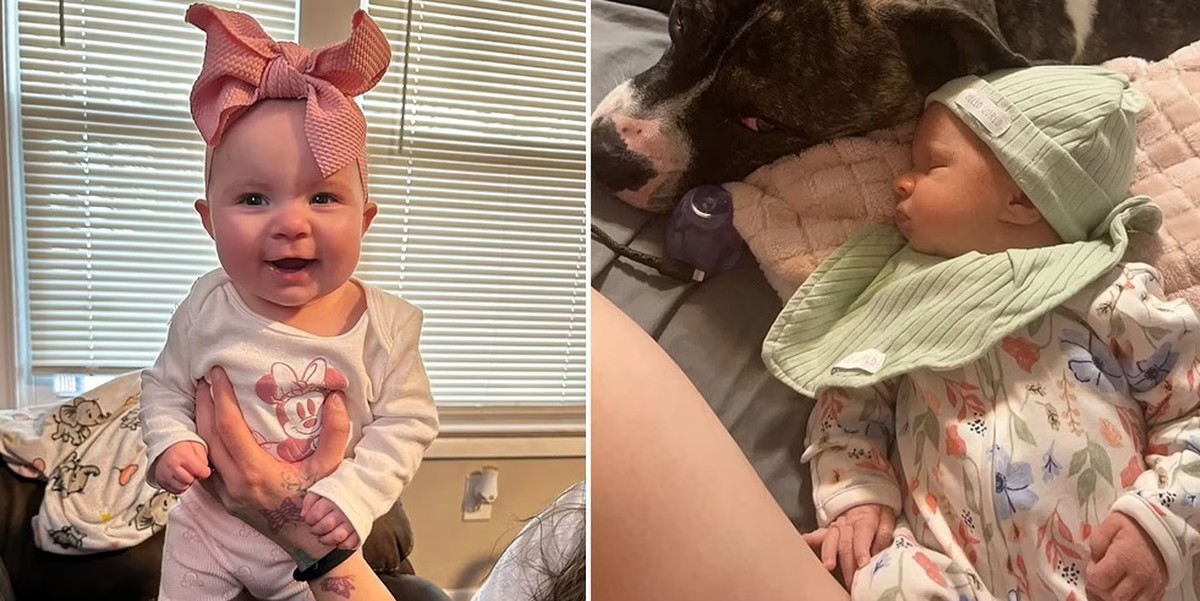 Bebê é morta por pit bull da família em Ohio; pais desolados compartilham luto nas redes sociais