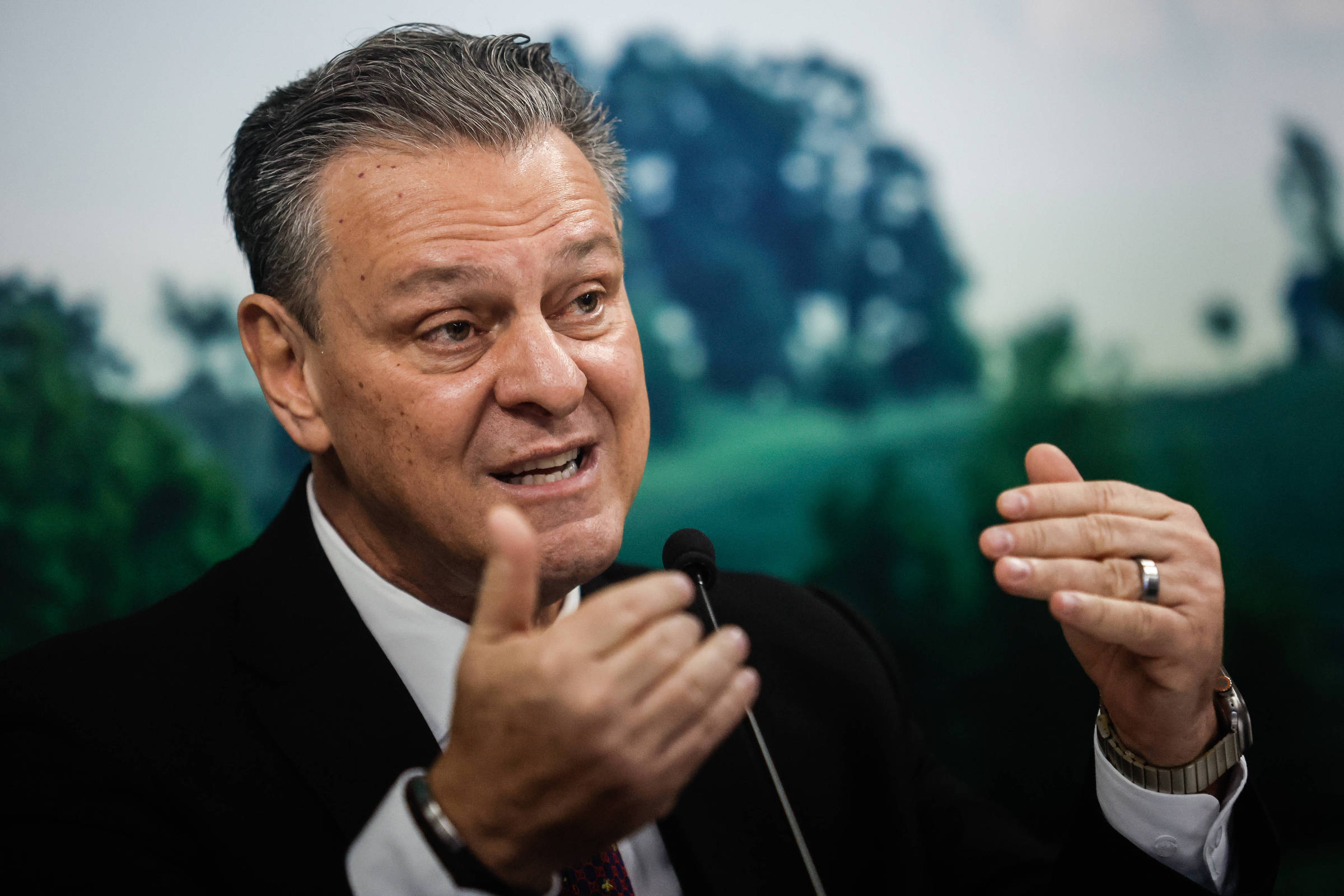 Ministério da Agricultura apreende 18,8 mil quilos de frango no Rio Grande do Sul