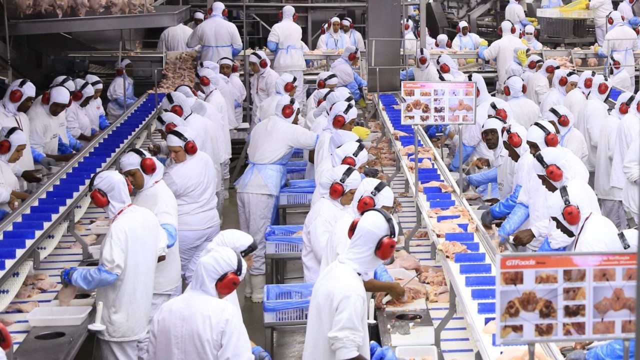 GTFoods destina R$ 180 milhões para nova fábrica e amplia sua produção
