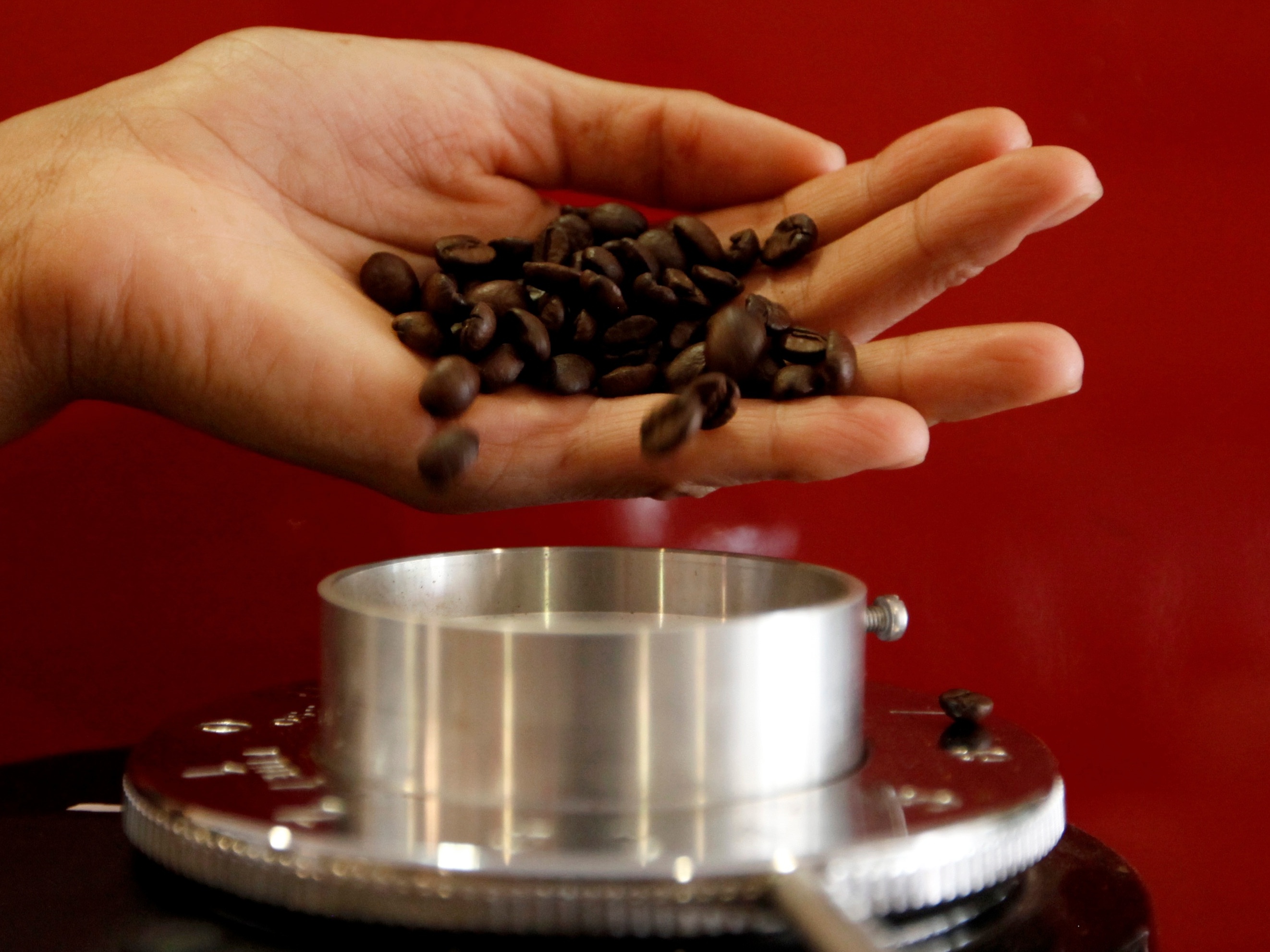 Preço do café atinge novo recorde e queda só é esperada para 2026