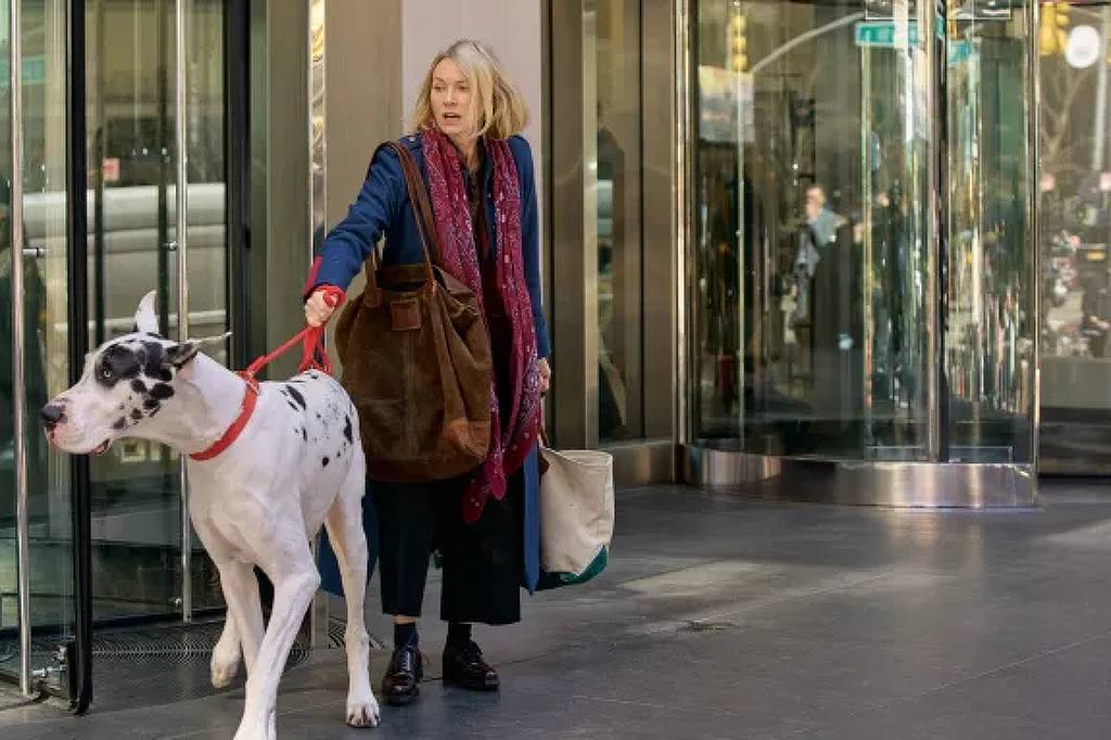 Naomi Watts brilha em 'Premonição 6' e outras estreias na TV e streaming hoje