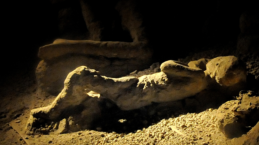 Pompeia é reabitada após erupção, revelam descobertas arqueológicas
