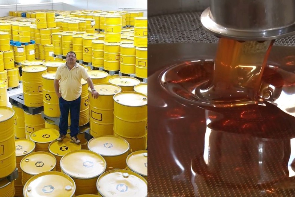 Tarifaço de Trump prejudica produtores de mel no Nordeste brasileiro