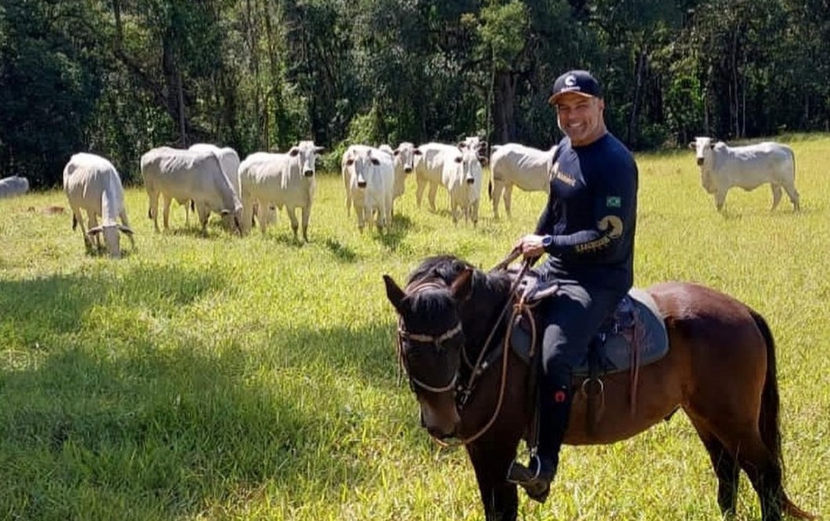 Mauricio Mattar se afasta da TV e se dedica à criação de cavalos e gado em Minas Gerais