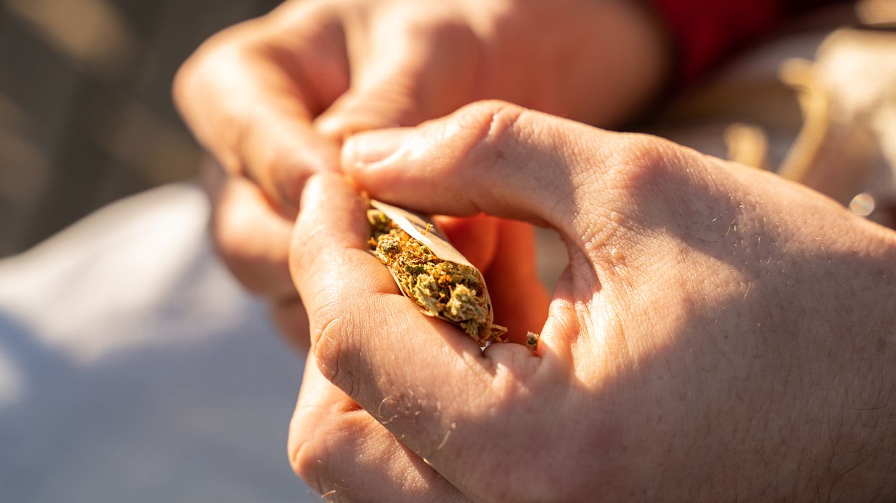 Uso de cannabis pode dobrar risco de morte por doenças cardiovasculares, aponta estudo