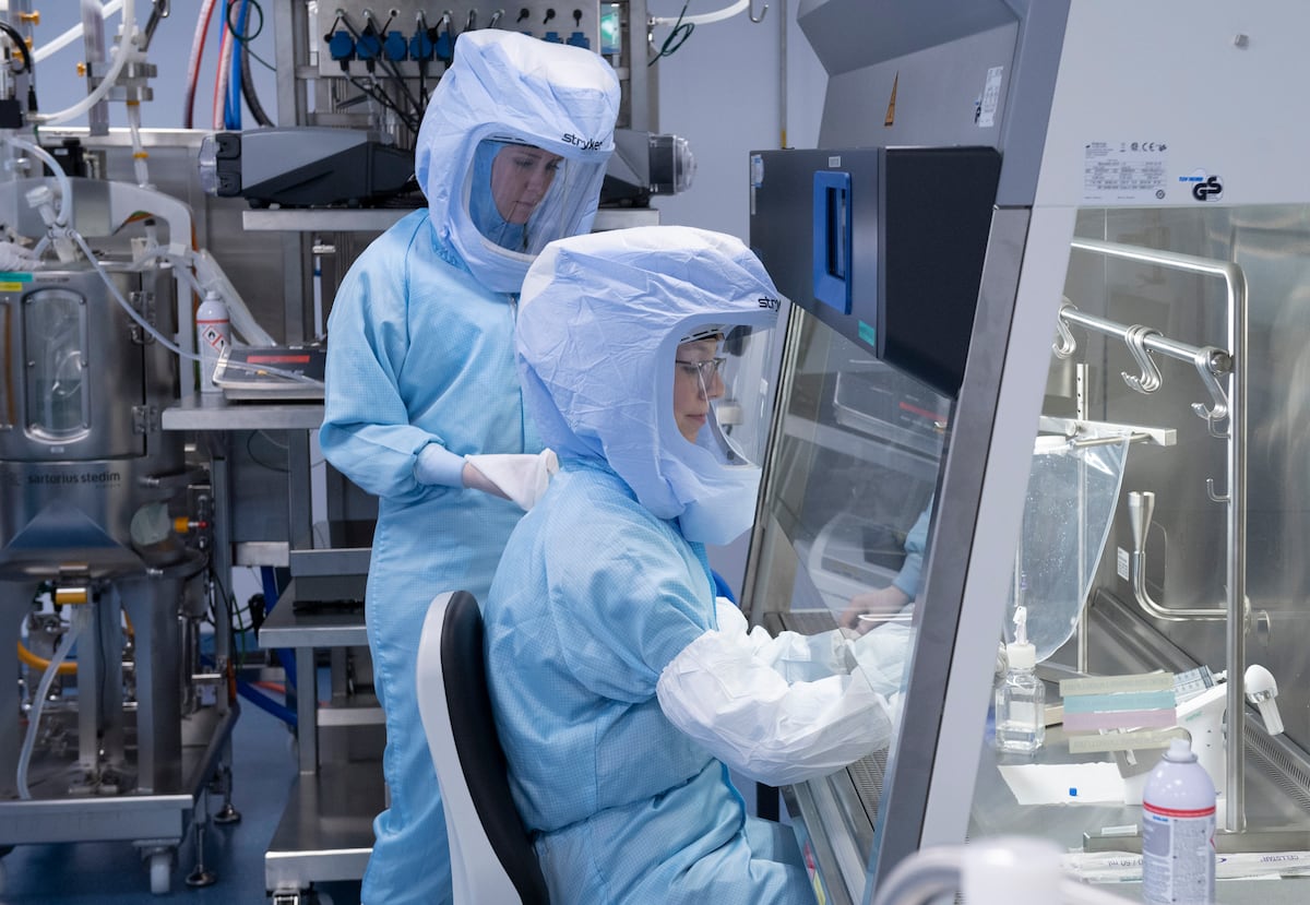 Os auxiliares de laboratório da BioNtech simulam a produção da vacina contra a COVID-19 na nova planta de produção de Marburgo. (Foto: picture alliance/dpa/picture alliance via Getty I)