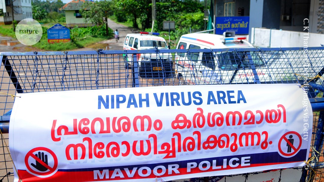 Vacina promissora contra o vírus Nipah também trata infecções relacionadas